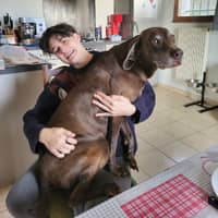 Photo de profil du pet sitter : Justine D.