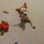 Sitter Profile Image: Sayda G.