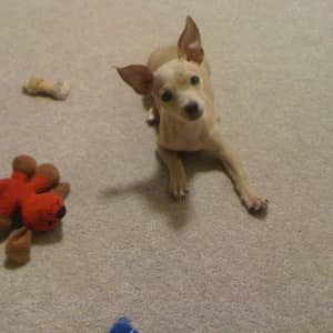 Sitter Profile Image: Sayda G.