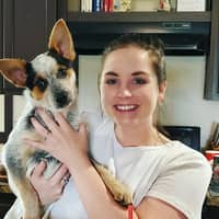 Sitter Profile Image: Emily S.