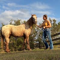 Sitter Profile Image: Sky S.