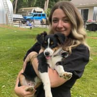 Sitter Profile Image: Sara D.