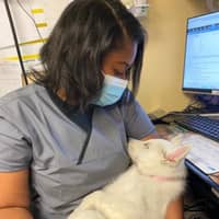 Sitter Profile Image: Loren J.