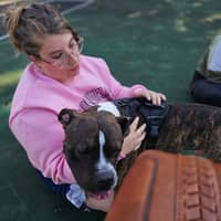 Sitter Profile Image: Christina M.