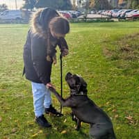 Sitter Profile Image: Nicole P.