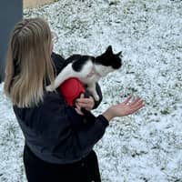 Photo de profil du pet sitter : Laurie C.