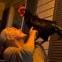 Sitter Profile Image: Catarina D.