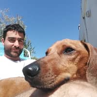 Sitterprofilbild: Nico L.