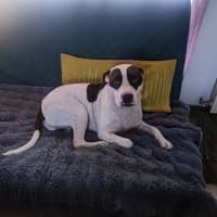 Foto del cuidador: Sara A.