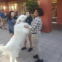 Sitter Profile Image: Destony P.