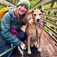 Sitter Profile Image: Holly D.