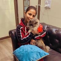 Sitterprofilbild: Vishvpreet B.