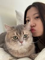 Sitter Profile Image: yunzi x.