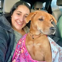 Sitter Profile Image: Reem F.