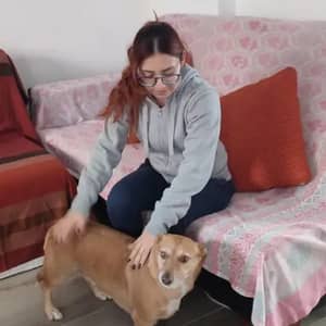 Sitter Profile Image: Maria Fanny L.