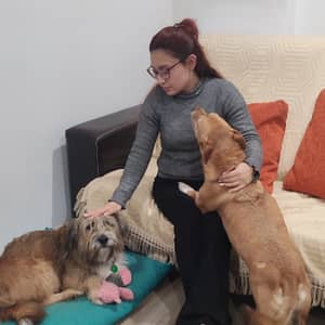 Sitter Profile Image: Maria Fanny L.