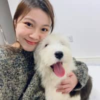 Sitter Profile Image: Yan Chak H.