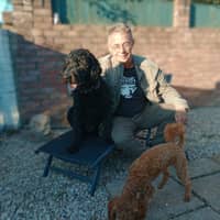 Sitter Profile Image: Andy B.