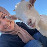 Sitter Profile Image: marwa a.