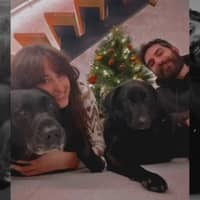 Foto del cuidador: Mercedes M.