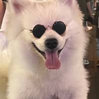 Sitter Profile Image: Laila D.