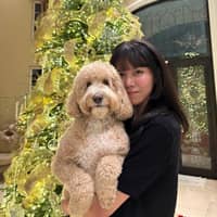 Sitter Profile Image: HYO YI K.