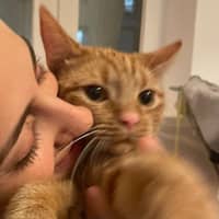 Photo de profil du pet sitter : Marsia T.