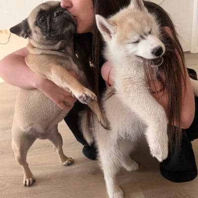 Photo de profil du pet sitter : Oceane B.