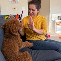 Sitter Profile Image: Birsen K.