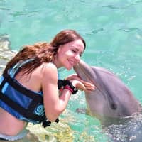 Immagine del profilo del sitter: Susan C.