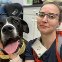 Sitter Profile Image: Anne F.