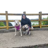 Foto del cuidador: Liyi L.