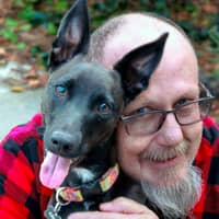 Sitter Profile Image: Steven N.