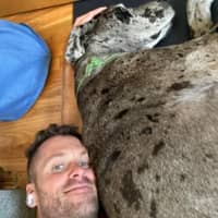 Sitter Profile Image: Bradley H.