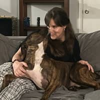 Sitter Profile Image: Michele A.