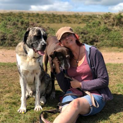 jeannie's doggy daycare