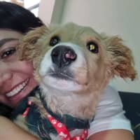 Foto del cuidador: Gissela L.