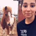 Sitter Profile Image: Qasheedra A.