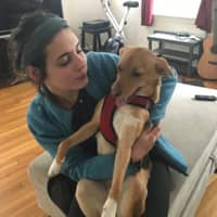 Sitter Profile Image: Sarah M.