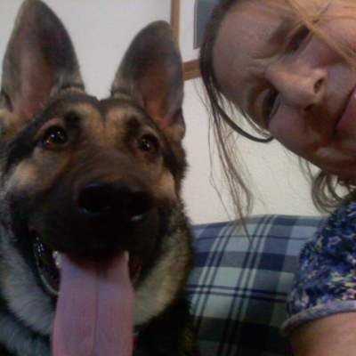 carrie's dog day care