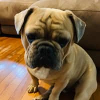 Sitter Profile Image: Danielle M.