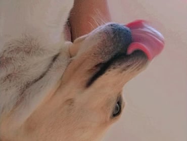 Image 0