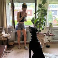 Sitterprofilbild: Isabella M.