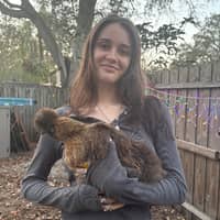 Sitter Profile Image: eleni k.