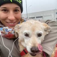 Immagine del profilo del sitter: Francesca T.