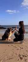 Photo de profil du pet sitter : vanessa l.