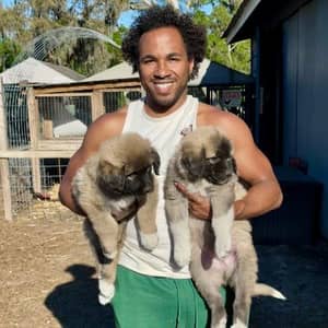 Sitter Profile Image: Joshua N.