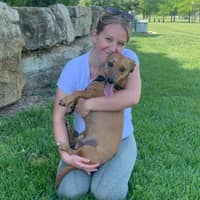 Sitter Profile Image: Emily S.