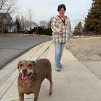 Sitter Profile Image: Julianne B.