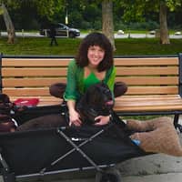 Sitter Profile Image: Kitt M.